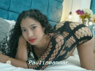 Paulineammar