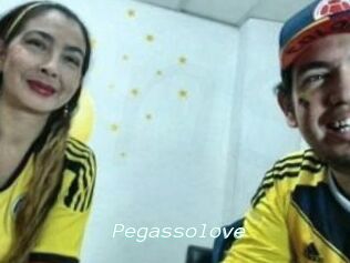 Pegasso_love