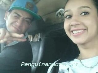 Penguinandcricket