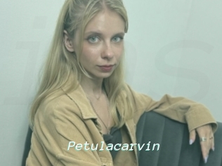 Petulacarvin