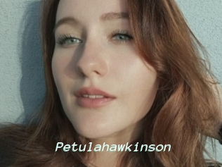 Petulahawkinson