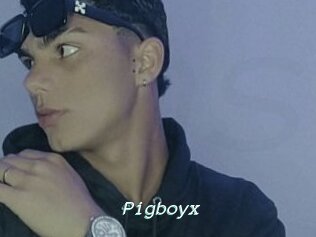 Pigboyx