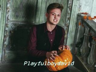 Playfulboydavid