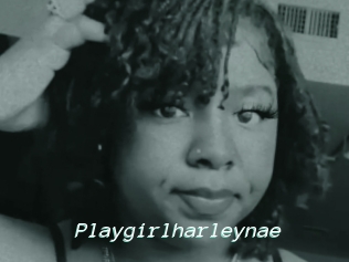 Playgirlharleynae