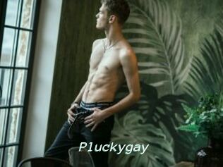 Pluckygay