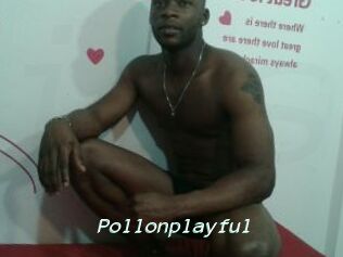 Pollonplayful