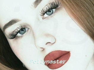 Pollynaster