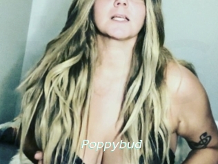 Poppybud