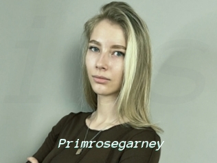 Primrosegarney