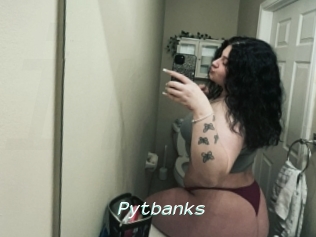 Pytbanks