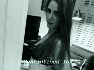 Quarantined_fox