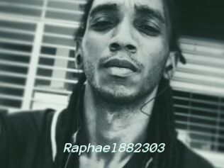 Raphael882303