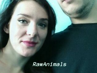 RawAnimals