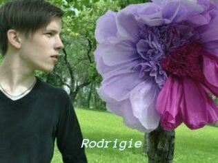Rodrigie