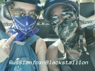RussianfoxnBlackstallion