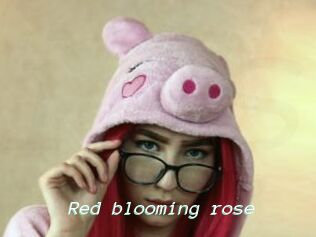 Red_blooming_rose