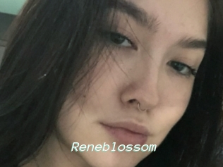 Reneblossom