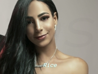 Rice