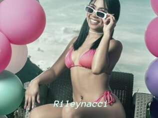 Rileynacci