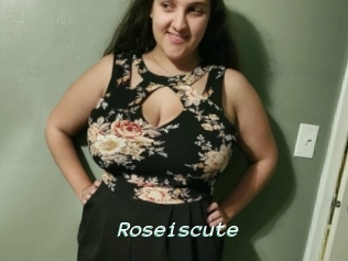 Roseiscute