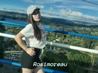 Rosimoreau