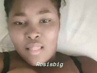 Rosisbig