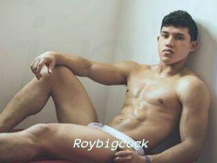 Roybigcock