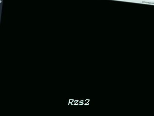 Rzs2