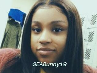 SEABunny19