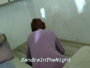 SandraInTheNight