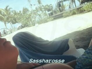 Sassharosse