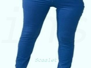 Scaalet