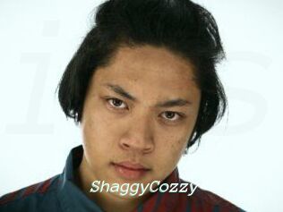 ShaggyCozzy