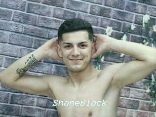 ShaneBlack