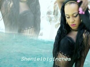 Shenielbiginches