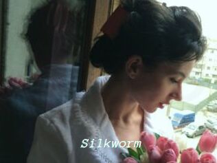 Silkworm