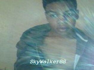 SkyWalker88