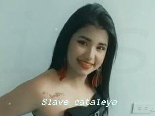 Slave_cataleya
