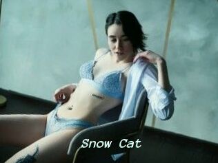 Snow_Cat
