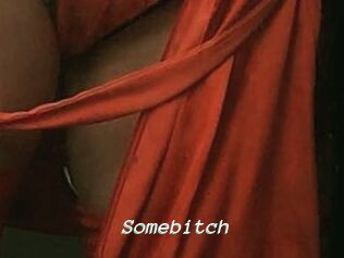 Somebitch