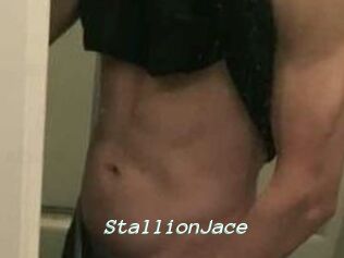 StallionJace