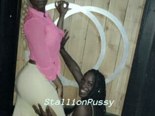 StallionPussy