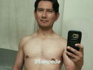 Stampede
