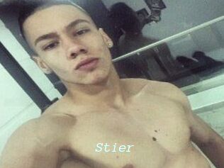 Stier