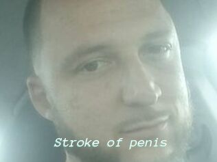 Stroke_of_penis