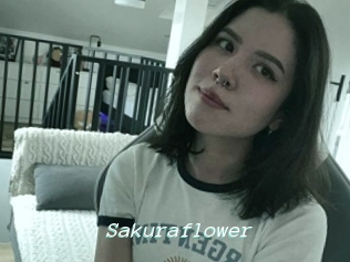 Sakuraflower