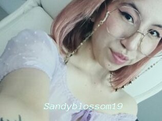 Sandyblossom19