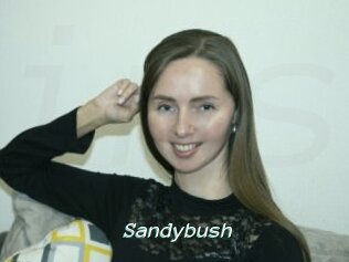Sandybush