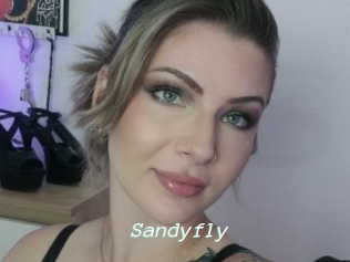 Sandyfly
