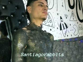 Santiagorabbits